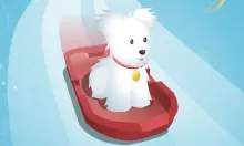 Pet Sledding